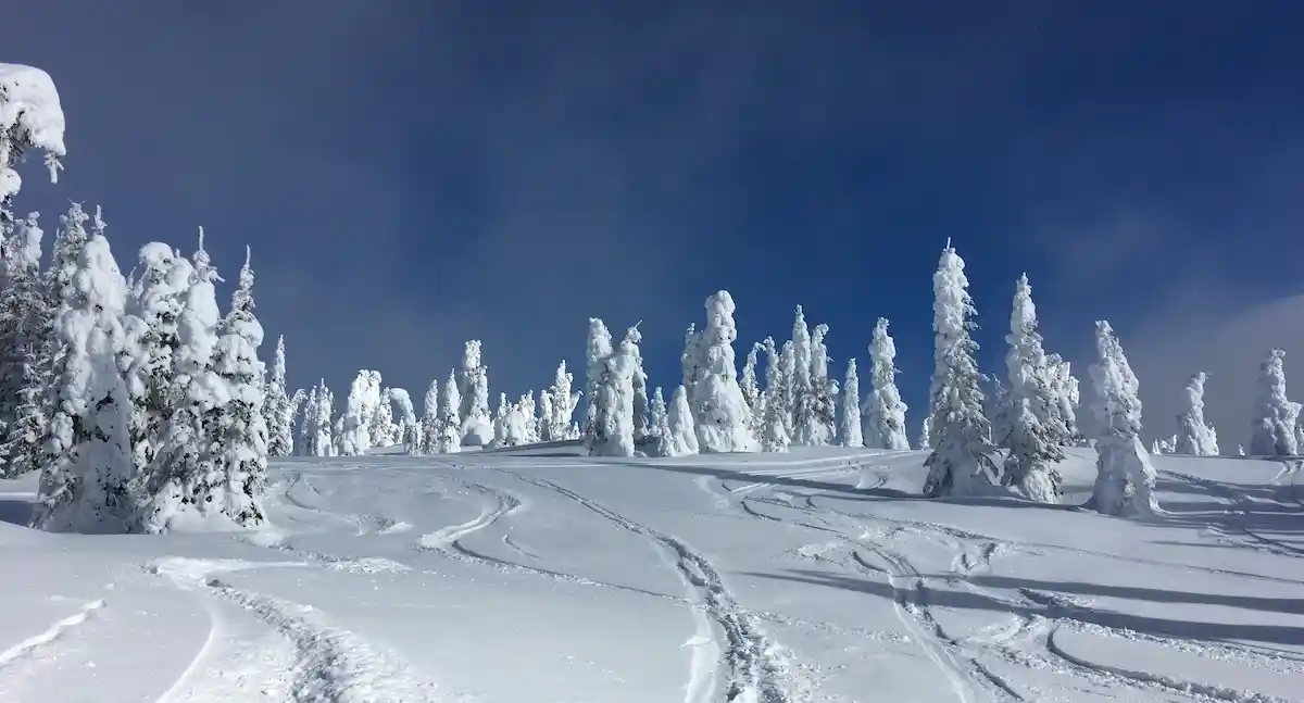 Powder snow at Silverstar, BC